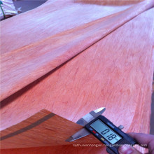 Good Color and Grain Bintangor Veneer with A B C D Grade